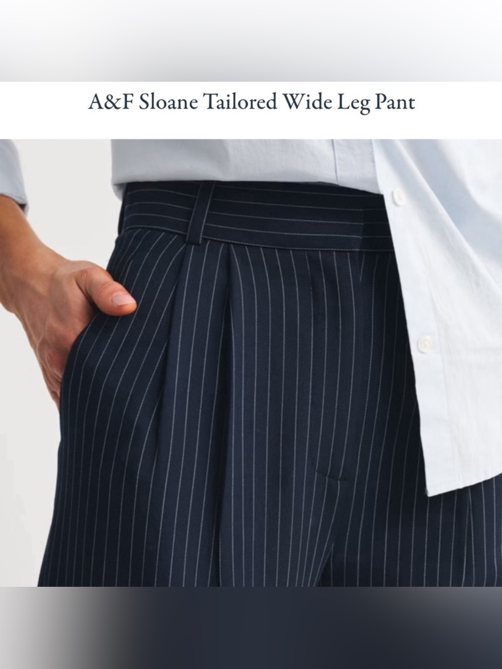 NEW Abercrombie & Fitch Sloan Tailored Wide Leg Blue indigo striped Pants 28 - Picture 2 of 14